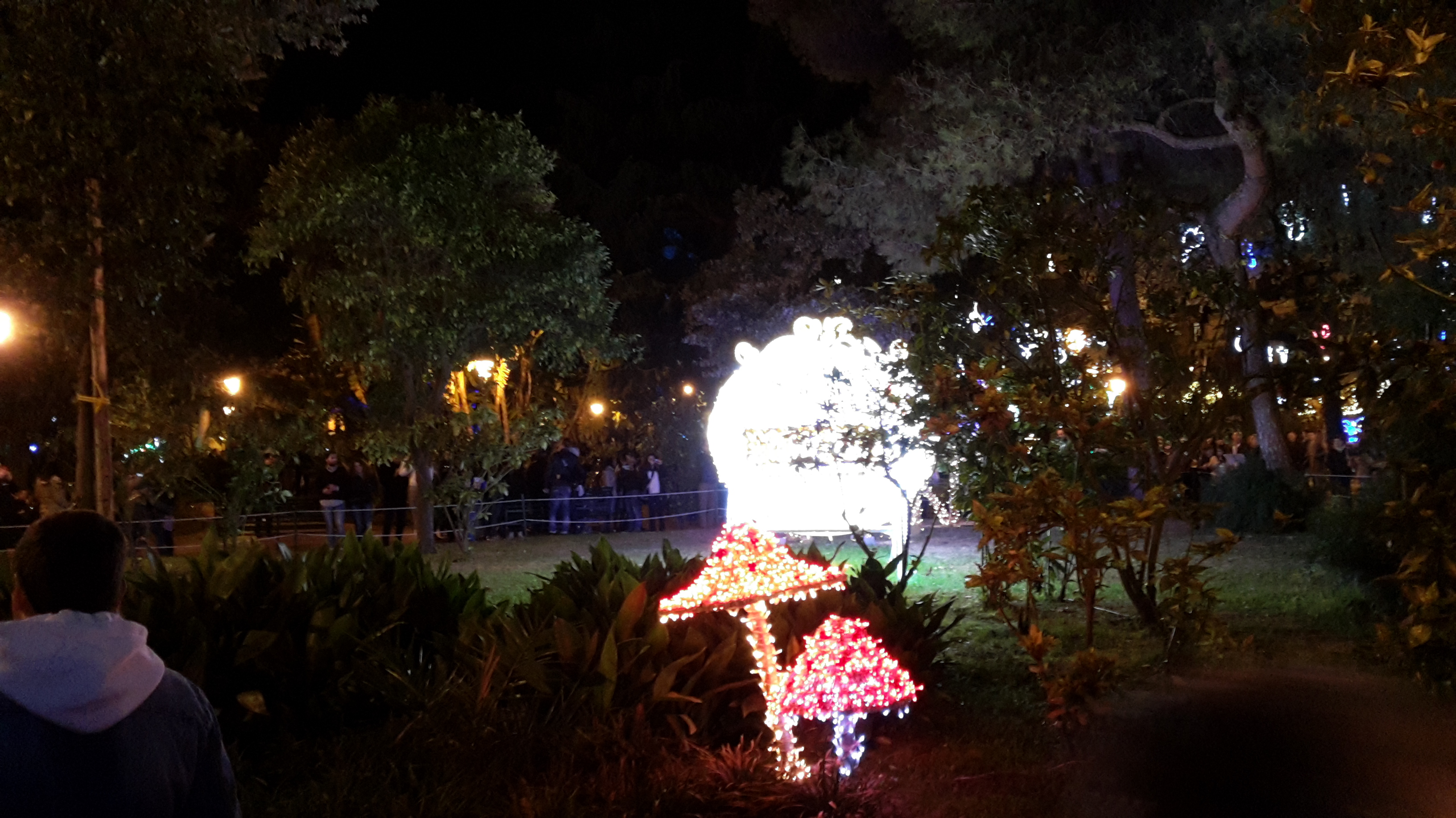 20141123_215738.jpg