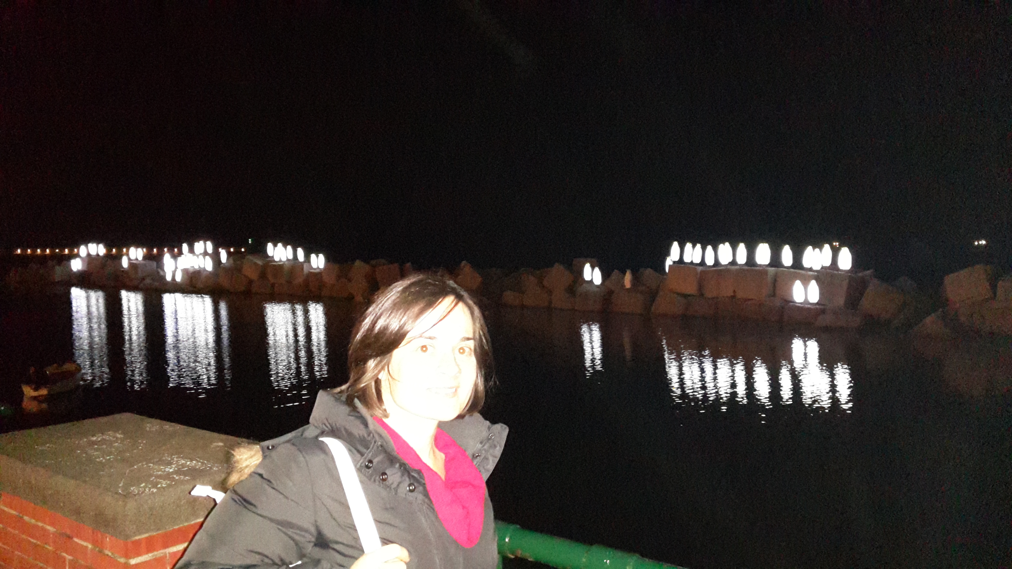 20141123_223141.jpg