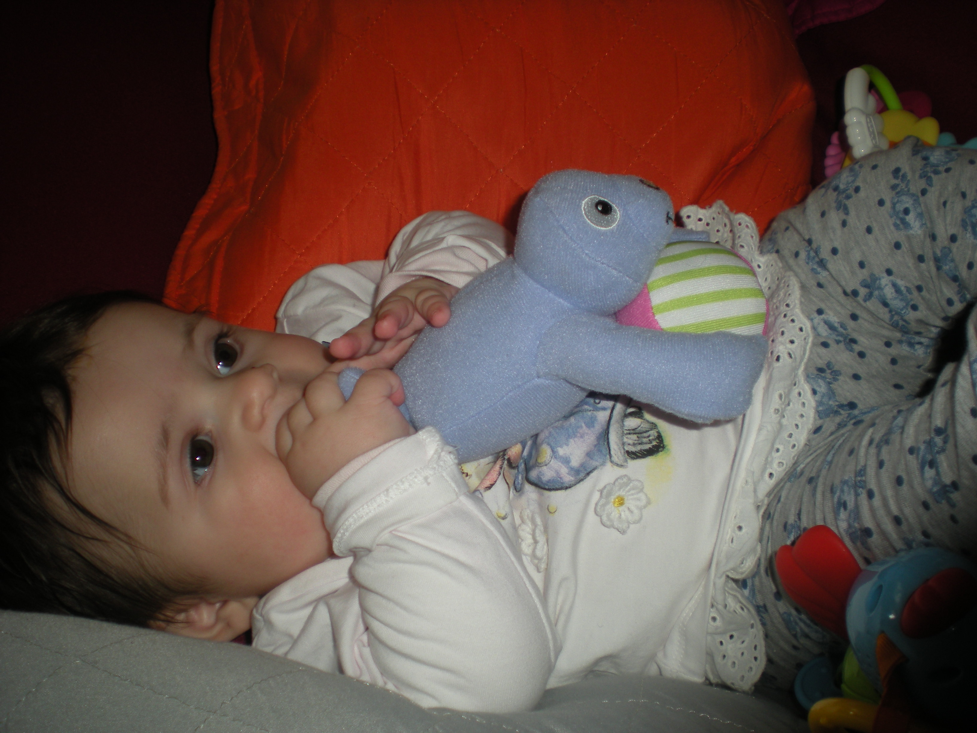 DSCN7825.JPG