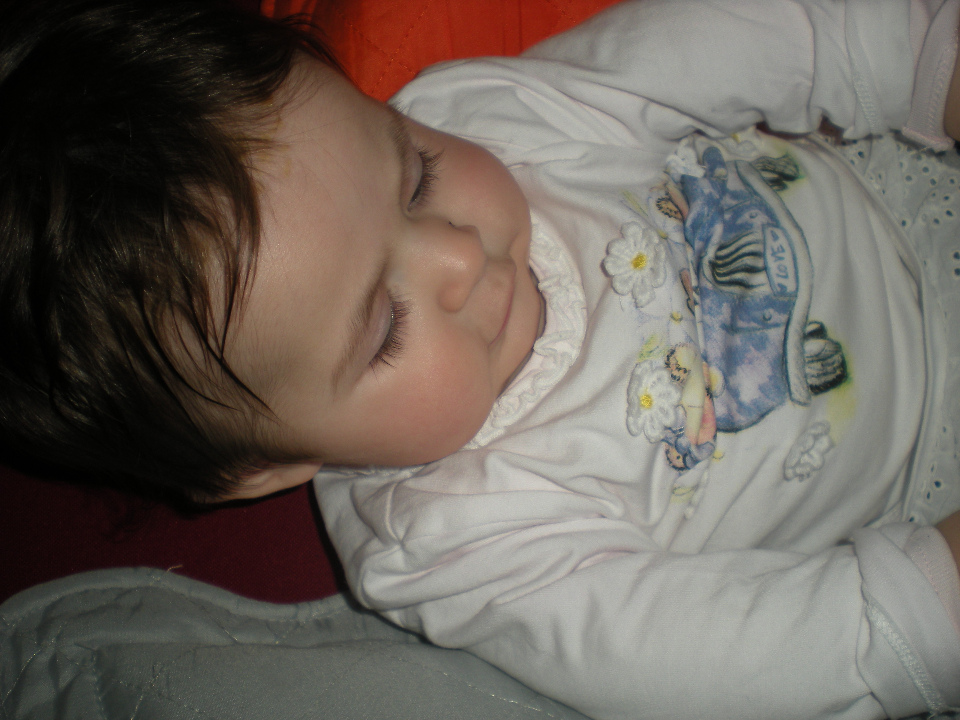 DSCN7828.JPG