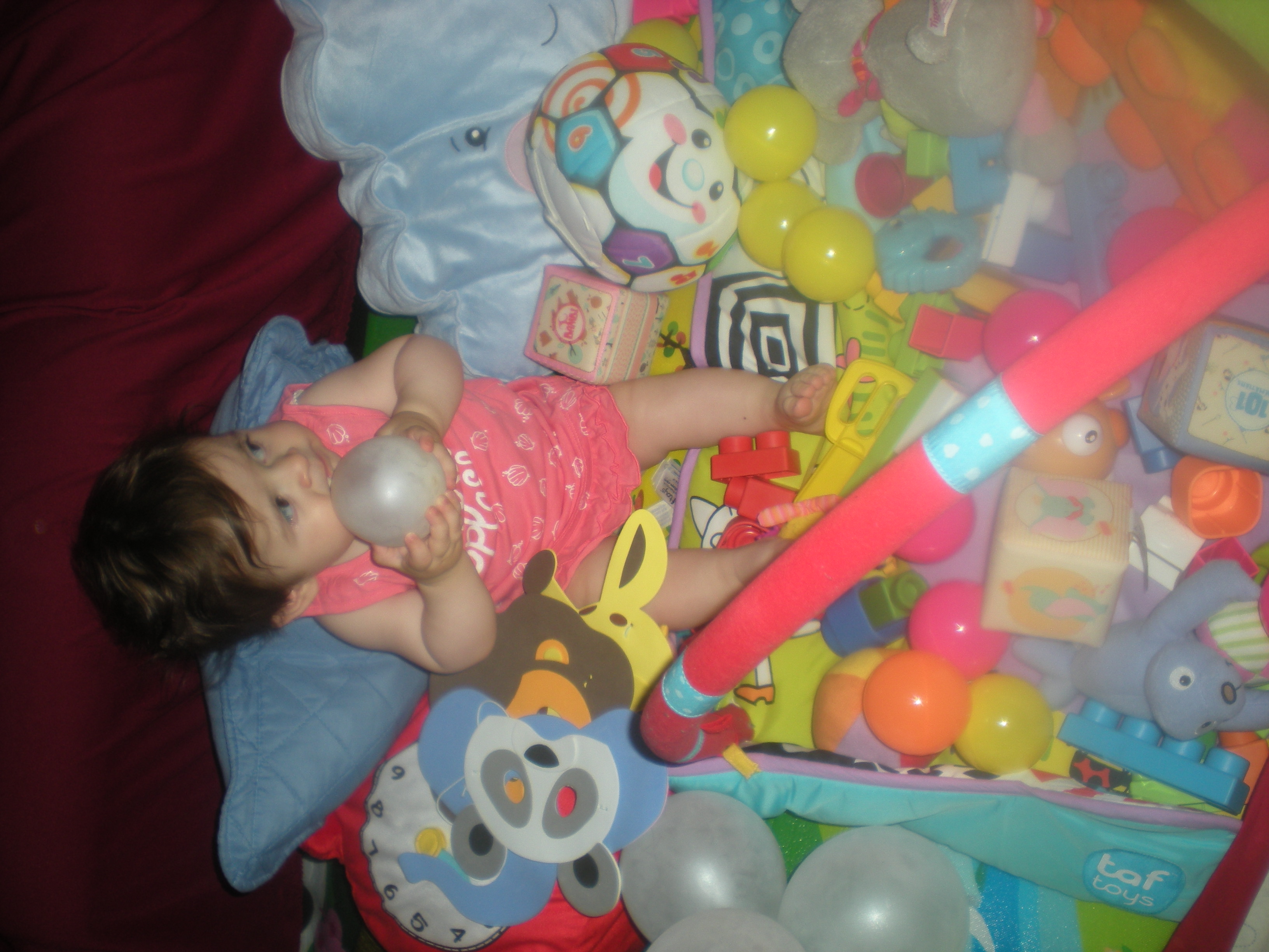 DSCN8317.JPG